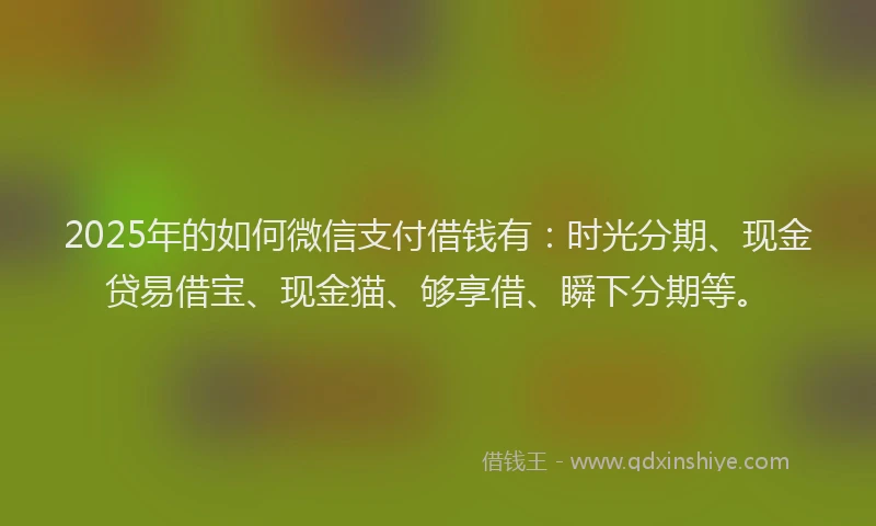 2025年的如何微信支付借钱有：时光分期、现金贷易借宝、现金猫、够享借、瞬下分期等。