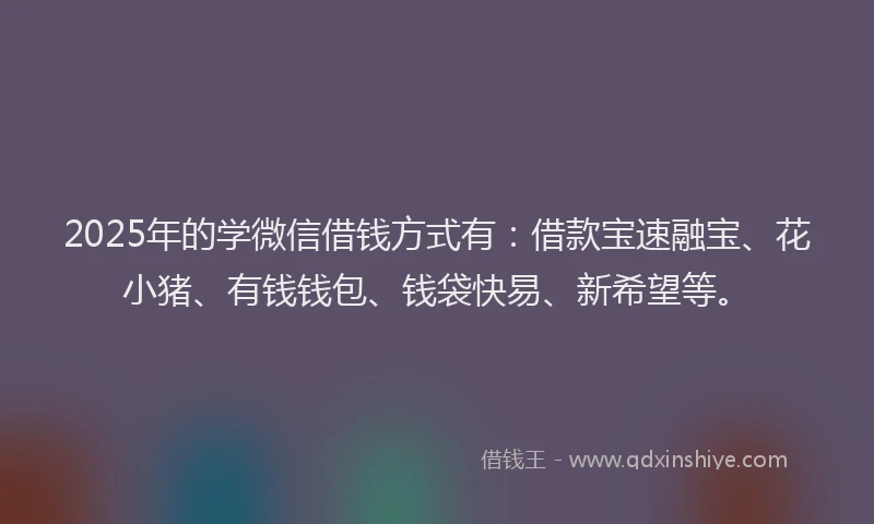 2025年的学微信借钱方式有：借款宝速融宝、花小猪、有钱钱包、钱袋快易、新希望等。