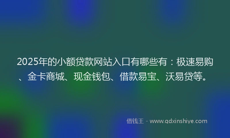 2025年的小额贷款网站入口有哪些有：极速易购、金卡商城、现金钱包、借款易宝、沃易贷等。