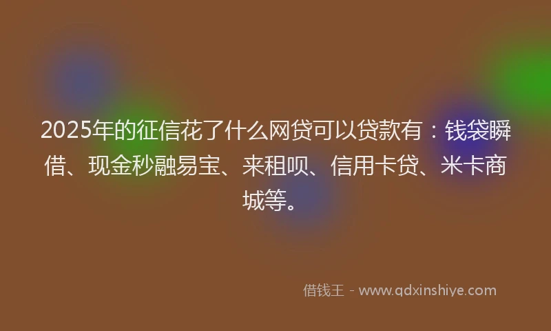 2025年的征信花了什么网贷可以贷款有：钱袋瞬借、现金秒融易宝、来租呗、信用卡贷、米卡商城等。