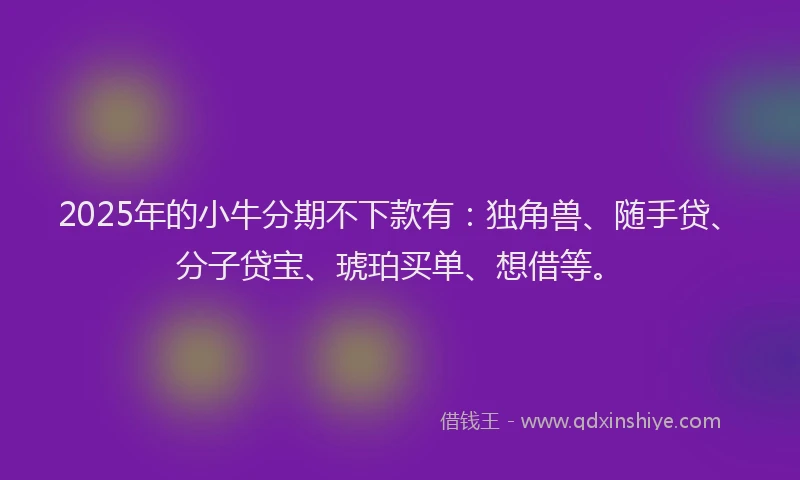 2025年的小牛分期不下款有：独角兽、随手贷、分子贷宝、琥珀买单、想借等。
