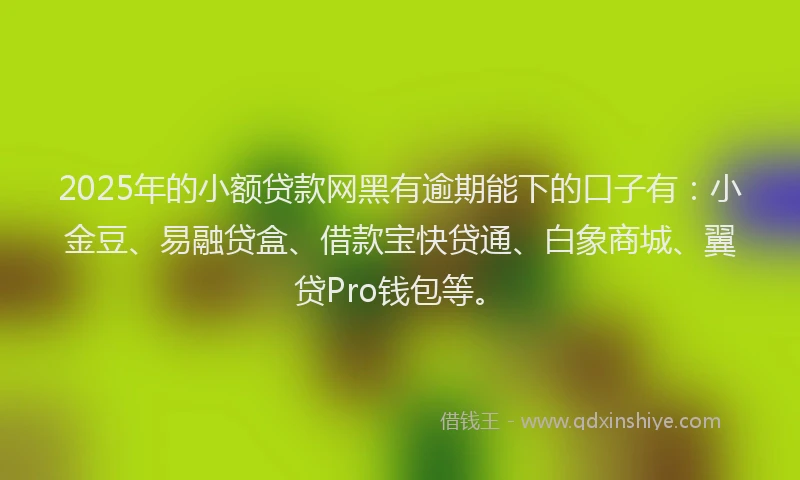 2025年的小额贷款网黑有逾期能下的口子有：小金豆、易融贷盒、借款宝快贷通、白象商城、翼贷Pro钱包等。
