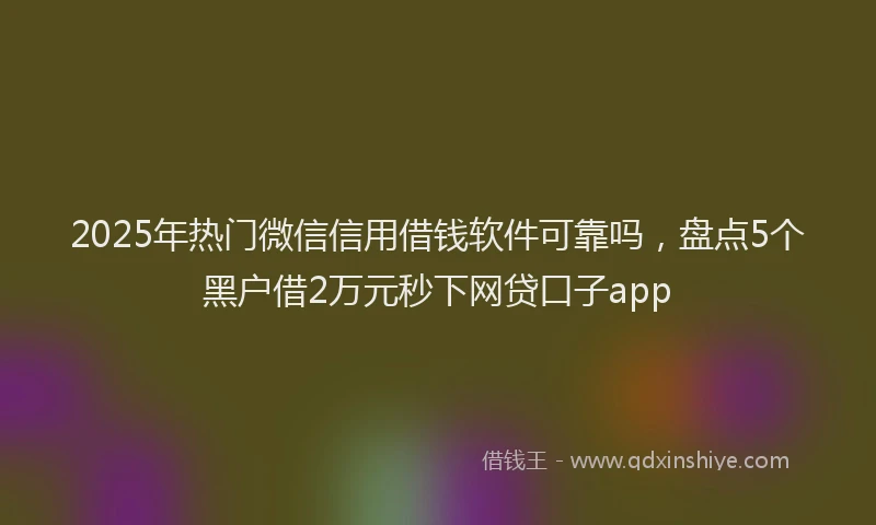 2025年热门微信信用借钱软件可靠吗，盘点5个黑户借2万元秒下网贷口子app