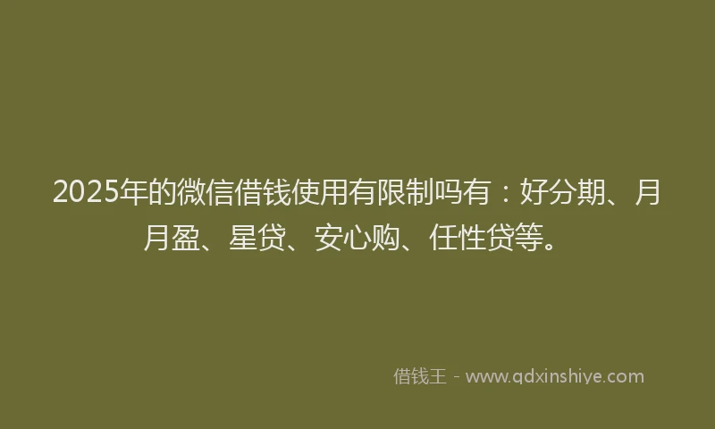 2025年的微信借钱使用有限制吗有：好分期、月月盈、星贷、安心购、任性贷等。
