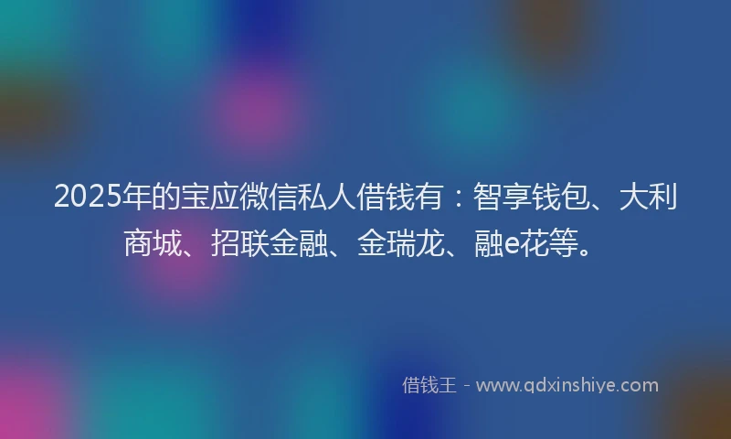 2025年的宝应微信私人借钱有：智享钱包、大利商城、招联金融、金瑞龙、融e花等。