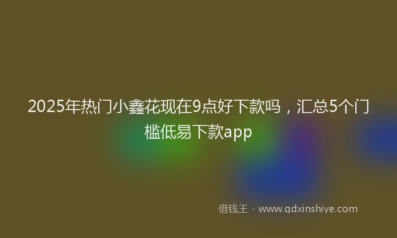 2025年热门小鑫花现在9点好下款吗，汇总5个门槛低易下款app