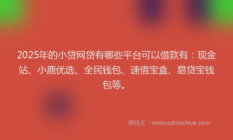 2025年的小贷网贷有哪些平台可以借款有：现金站、小鹿优选、全民钱包、速借宝盒、易贷宝钱包等。