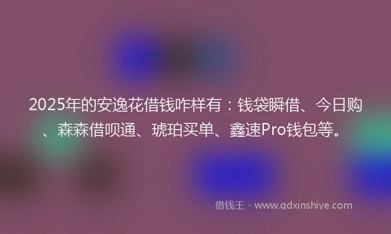 2025年的安逸花借钱咋样有：钱袋瞬借、今日购、森森借呗通、琥珀买单、鑫速Pro钱包等。