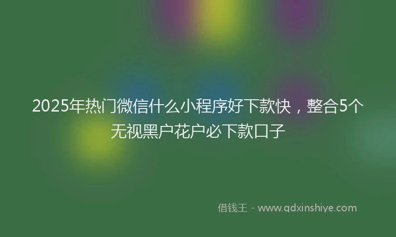 2025年热门微信什么小程序好下款快，整合5个无视黑户花户必下款口子