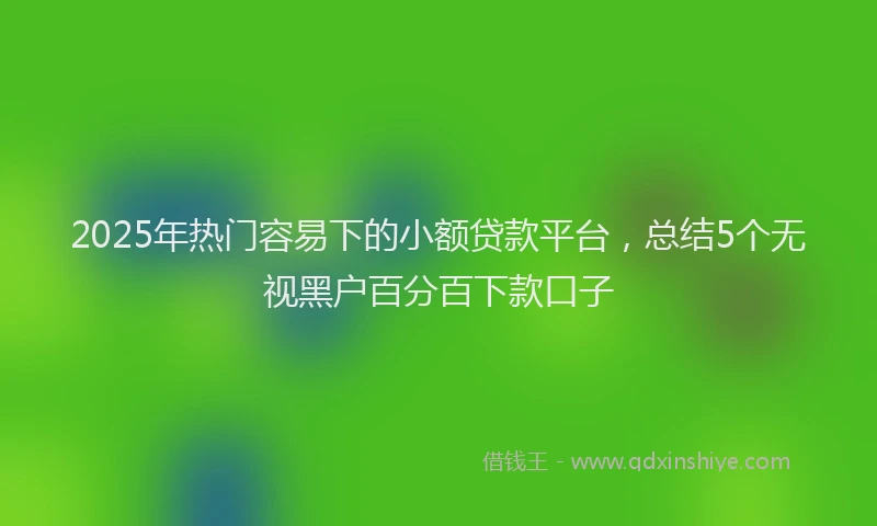 2025年热门容易下的小额贷款平台，总结5个无视黑户百分百下款口子