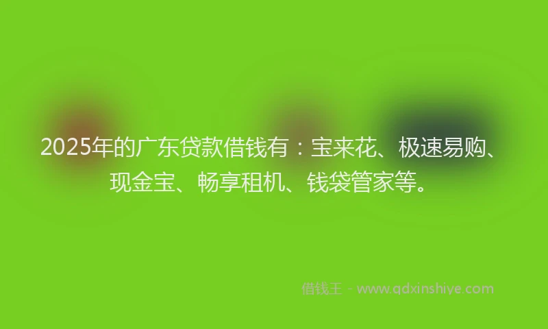 2025年的广东贷款借钱有：宝来花、极速易购、现金宝、畅享租机、钱袋管家等。
