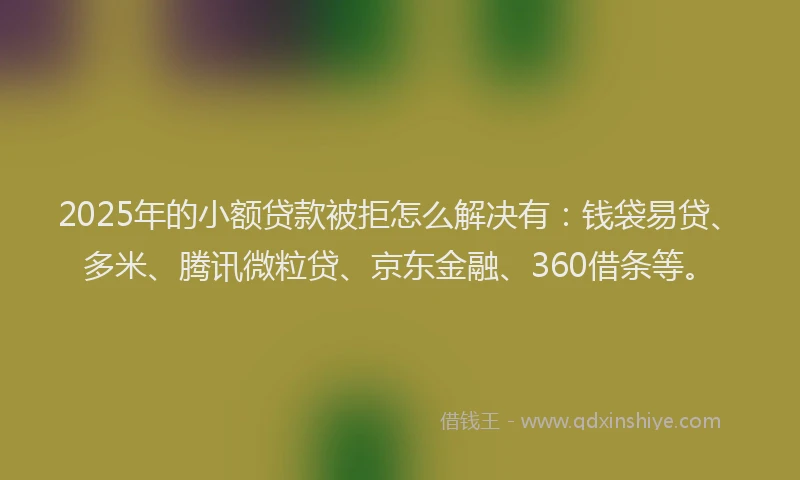 2025年的小额贷款被拒怎么解决有：钱袋易贷、多米、腾讯微粒贷、京东金融、360借条等。