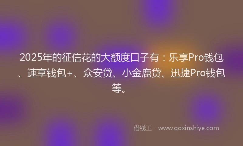 2025年的征信花的大额度口子有：乐享Pro钱包、速享钱包+、众安贷、小金鹿贷、迅捷Pro钱包等。