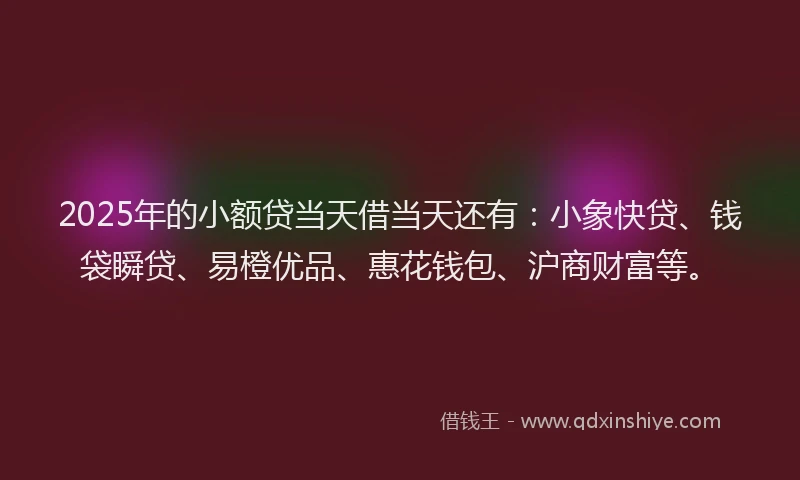 2025年的小额贷当天借当天还有：小象快贷、钱袋瞬贷、易橙优品、惠花钱包、沪商财富等。