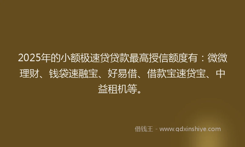 2025年的小额极速贷贷款最高授信额度有：微微理财、钱袋速融宝、好易借、借款宝速贷宝、中益租机等。
