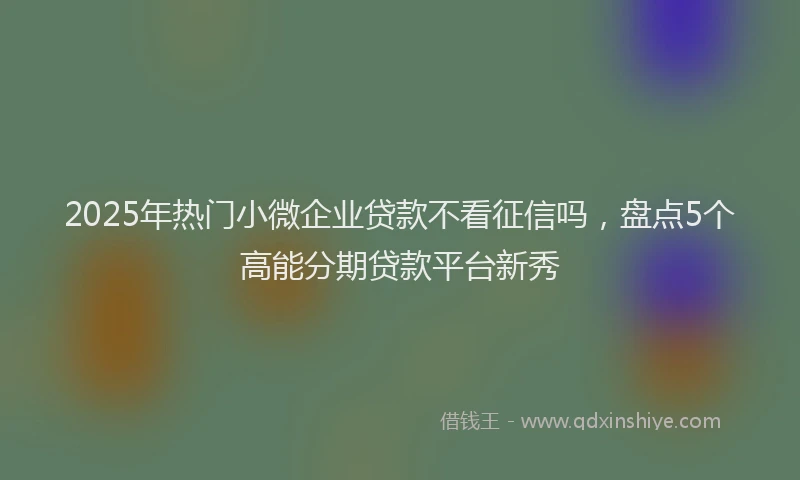 2025年热门小微企业贷款不看征信吗，盘点5个高能分期贷款平台新秀
