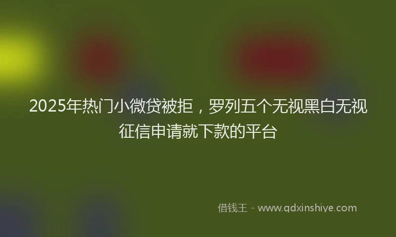 2025年热门小微贷被拒，罗列五个无视黑白无视征信申请就下款的平台