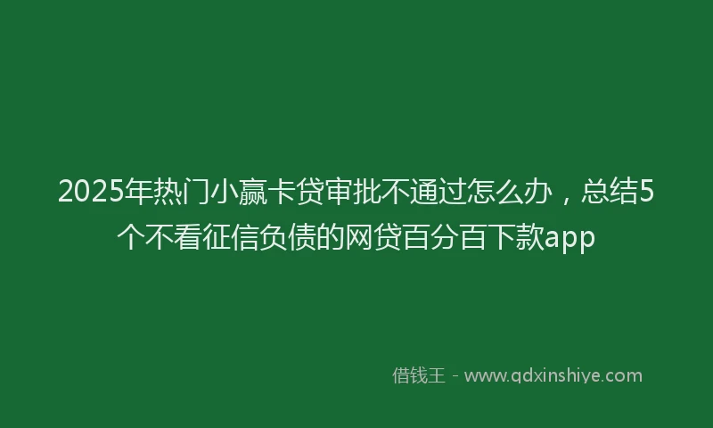 2025年热门小赢卡贷审批不通过怎么办，总结5个不看征信负债的网贷百分百下款app