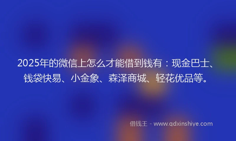 2025年的微信上怎么才能借到钱有：现金巴士、钱袋快易、小金象、森泽商城、轻花优品等。