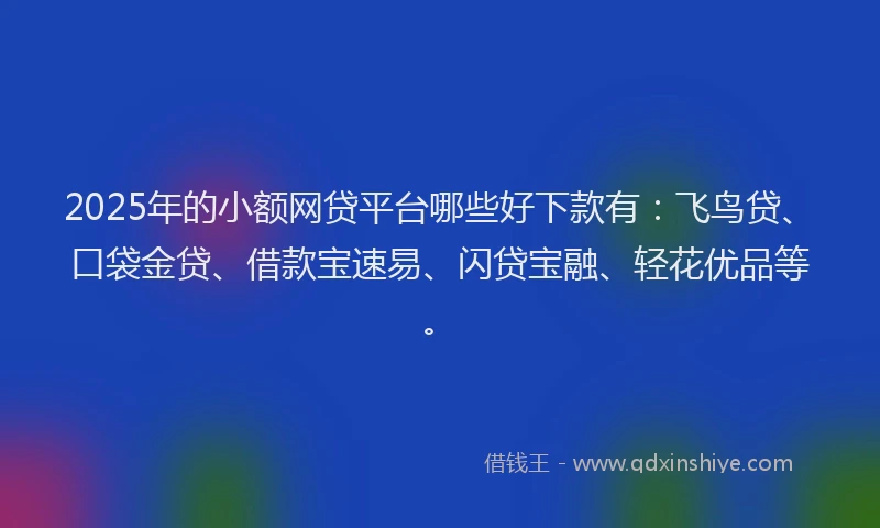 2025年的小额网贷平台哪些好下款有：飞鸟贷、口袋金贷、借款宝速易、闪贷宝融、轻花优品等。