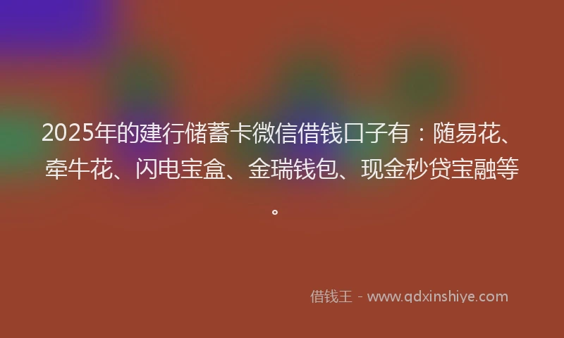 2025年的建行储蓄卡微信借钱口子有：随易花、牵牛花、闪电宝盒、金瑞钱包、现金秒贷宝融等。