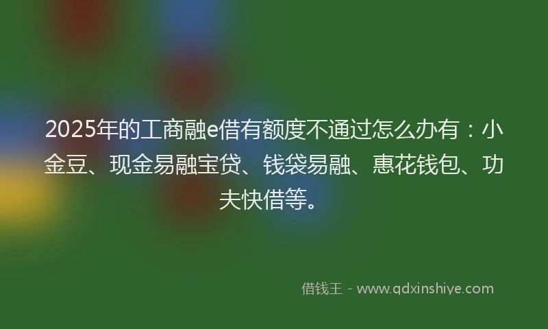 2025年的工商融e借有额度不通过怎么办有:小金豆、现金易融宝贷、钱袋易融、惠花钱包、功夫快借等。