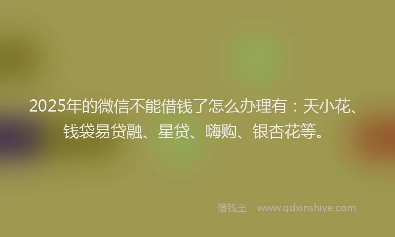 2025年的微信不能借钱了怎么办理有：天小花、钱袋易贷融、星贷、嗨购、银杏花等。