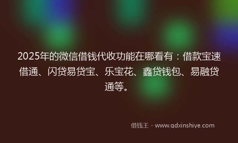 2025年的微信借钱代收功能在哪看有：借款宝速借通、闪贷易贷宝、乐宝花、鑫贷钱包、易融贷通等。