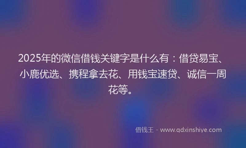 2025年的微信借钱关键字是什么有：借贷易宝、小鹿优选、携程拿去花、用钱宝速贷、诚信一周花等。