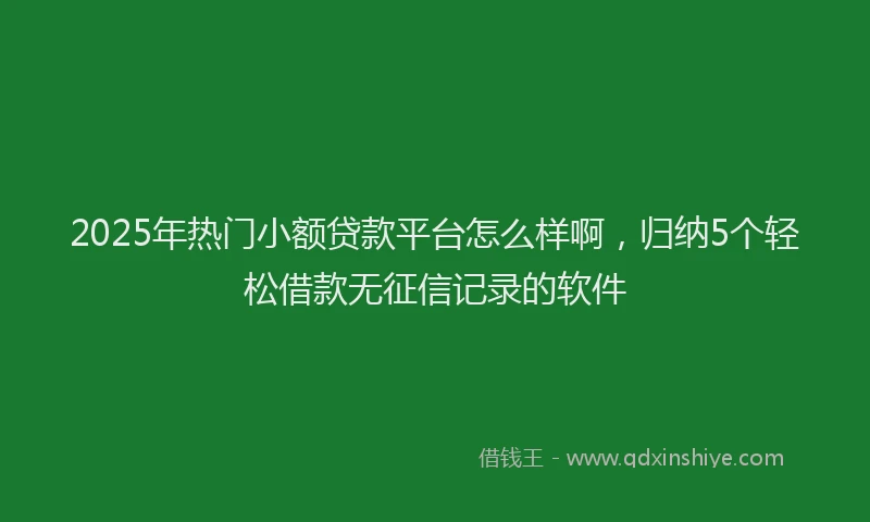2025年热门小额贷款平台怎么样啊，归纳5个轻松借款无征信记录的软件