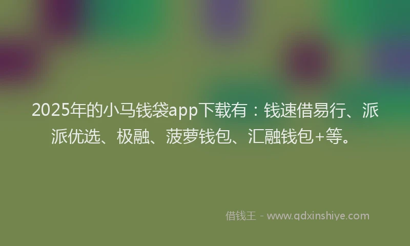 2025年的小马钱袋app下载有：钱速借易行、派派优选、极融、菠萝钱包、汇融钱包+等。