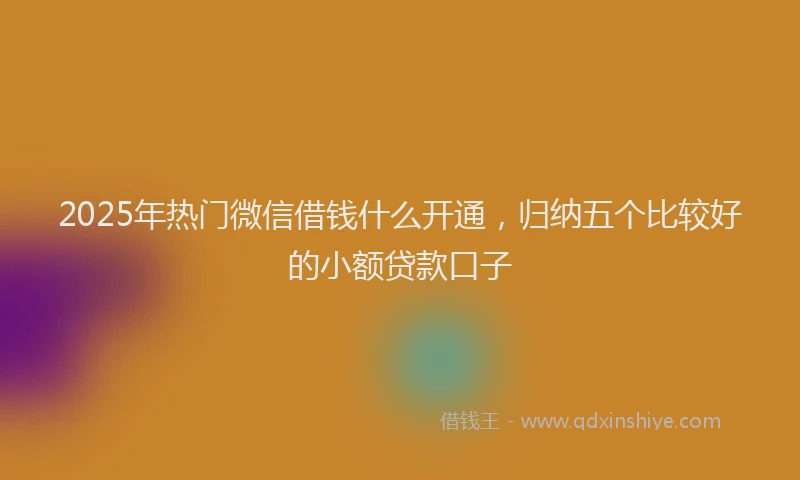 2025年热门微信借钱什么开通，归纳五个比较好的小额贷款口子