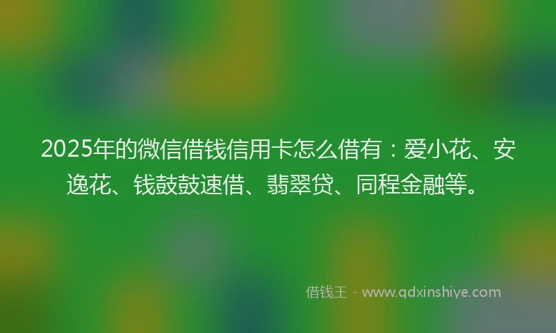 2025年的微信借钱信用卡怎么借有：爱小花、安逸花、钱鼓鼓速借、翡翠贷、同程金融等。