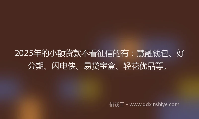 2025年的小额贷款不看征信的有：慧融钱包、好分期、闪电侠、易贷宝盒、轻花优品等。