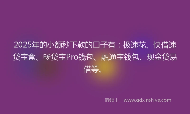 2025年的小额秒下款的口子有：极速花、快借速贷宝盒、畅贷宝Pro钱包、融通宝钱包、现金贷易借等。