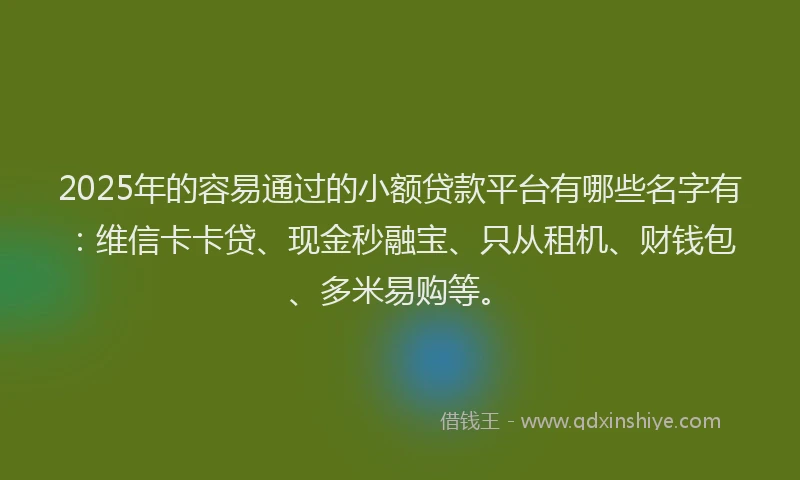 2025年的容易通过的小额贷款平台有哪些名字有：维信卡卡贷、现金秒融宝、只从租机、财钱包、多米易购等。