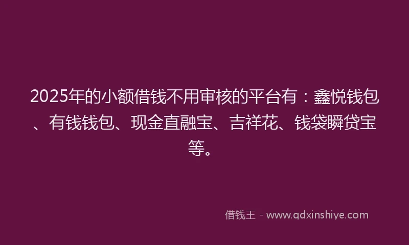 2025年的小额借钱不用审核的平台有：鑫悦钱包、有钱钱包、现金直融宝、吉祥花、钱袋瞬贷宝等。