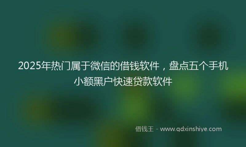 2025年热门属于微信的借钱软件，盘点五个手机小额黑户快速贷款软件