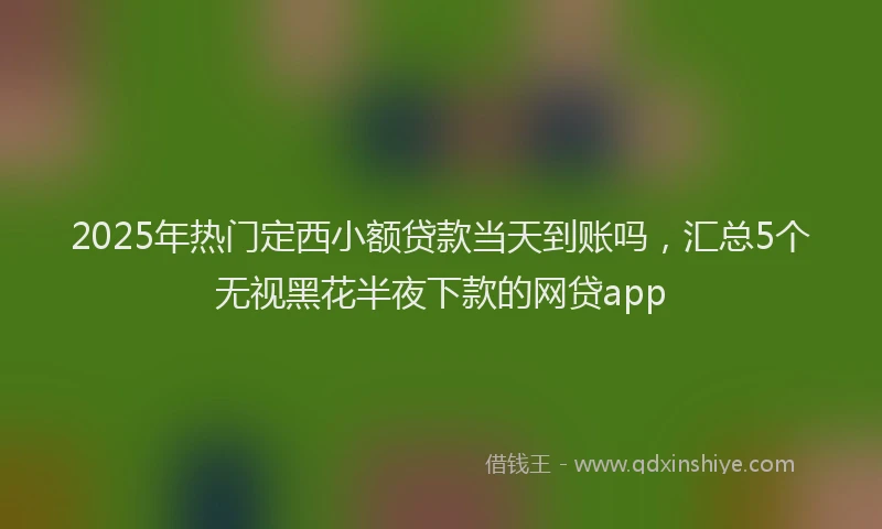 2025年热门定西小额贷款当天到账吗，汇总5个无视黑花半夜下款的网贷app