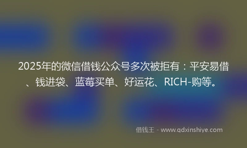 2025年的微信借钱公众号多次被拒有：平安易借、钱进袋、蓝莓买单、好运花、RICH-购等。