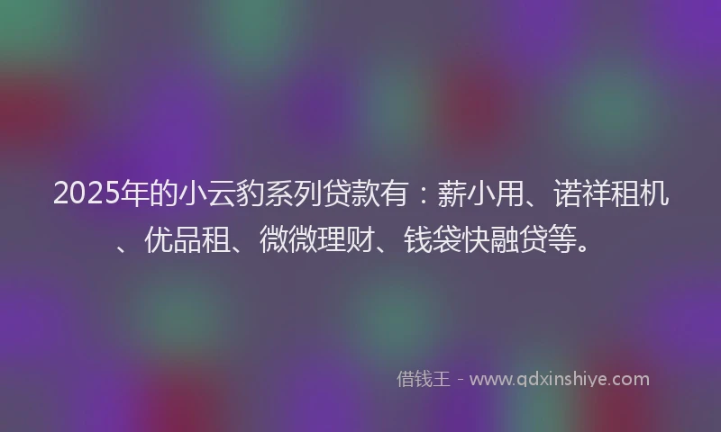 2025年的小云豹系列贷款有：薪小用、诺祥租机、优品租、微微理财、钱袋快融贷等。