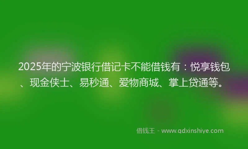 2025年的宁波银行借记卡不能借钱有：悦享钱包、现金侠士、易秒通、爱物商城、掌上贷通等。