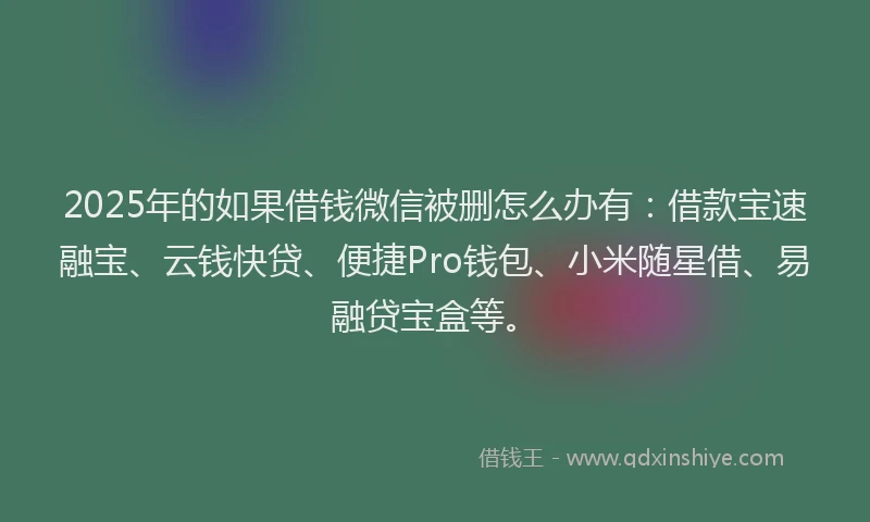 2025年的如果借钱微信被删怎么办有：借款宝速融宝、云钱快贷、便捷Pro钱包、小米随星借、易融贷宝盒等。