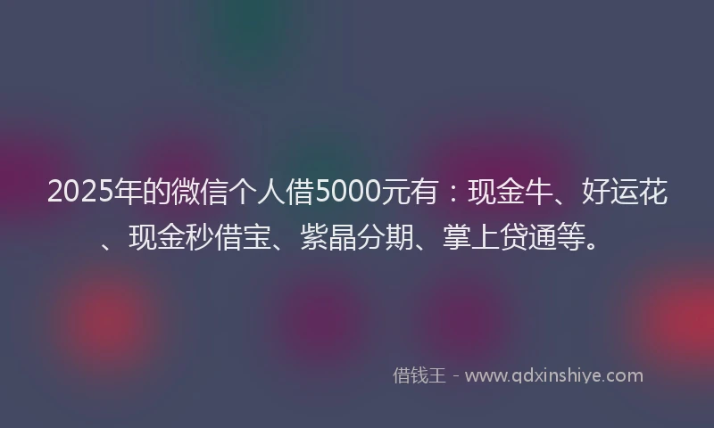 2025年的微信个人借5000元有：现金牛、好运花、现金秒借宝、紫晶分期、掌上贷通等。