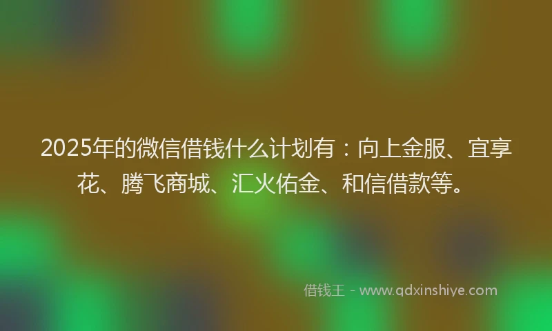 2025年的微信借钱什么计划有：向上金服、宜享花、腾飞商城、汇火佑金、和信借款等。