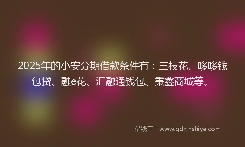 2025年的小安分期借款条件有：三枝花、哆哆钱包贷、融e花、汇融通钱包、秉鑫商城等。