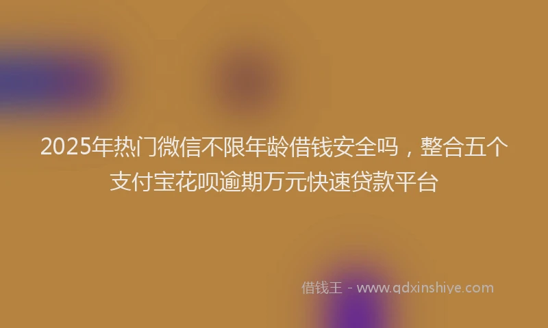 2025年热门微信不限年龄借钱安全吗，整合五个支付宝花呗逾期万元快速贷款平台
