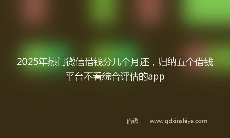 2025年热门微信借钱分几个月还，归纳五个借钱平台不看综合评估的app