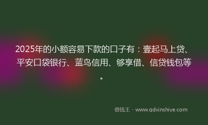 2025年的小额容易下款的口子有：壹起马上贷、平安口袋银行、蓝鸟信用、够享借、信贷钱包等。
