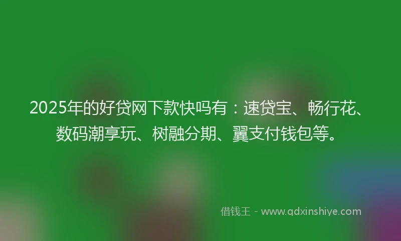 2025年的好贷网下款快吗有：速贷宝、畅行花、数码潮享玩、树融分期、翼支付钱包等。